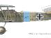 Fokker D.VII 262/18, Emil Thuy, Jasta 28w, Mid 1918 (35 victories)